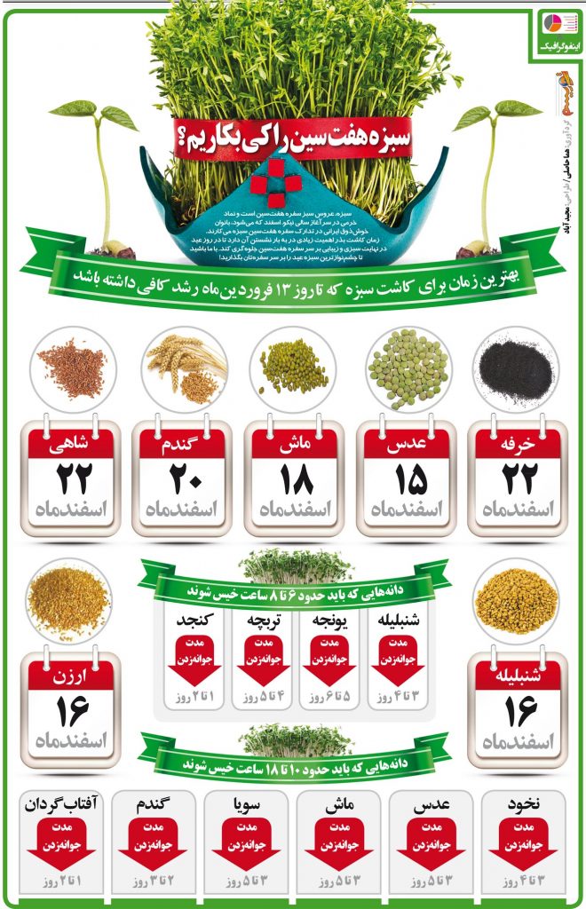 اینفوگرافیک