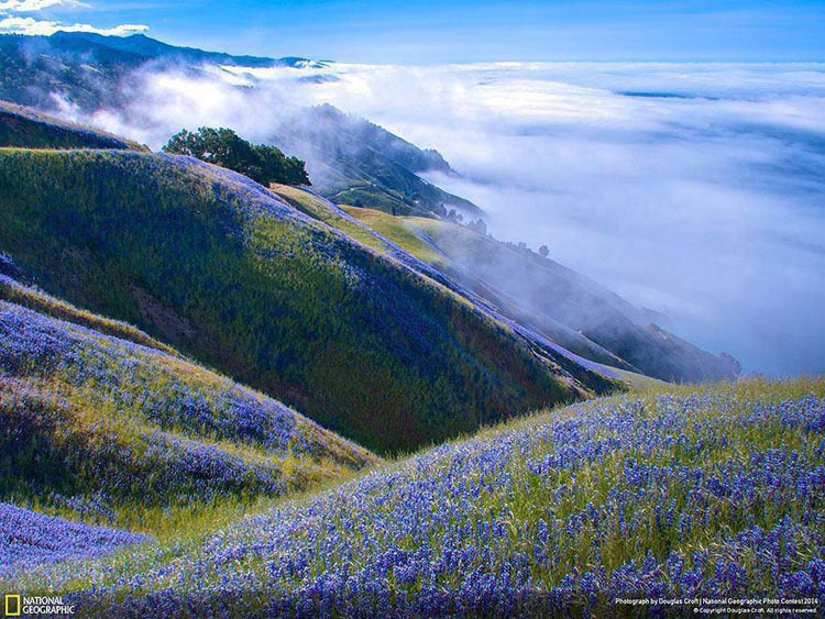 طبیعت آمریکا