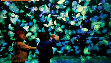 تصاویر خبری