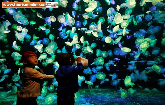 تصاویر خبری