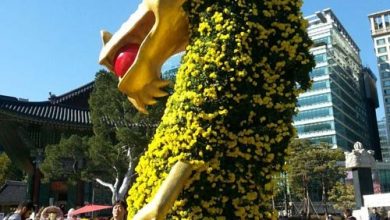 معبد بودایی جوگیسا