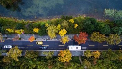 رنگ های طبیعت