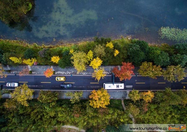 رنگ های طبیعت