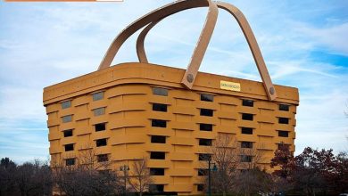 معماری های برتر