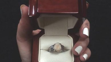 عجیب ترین حلقه ازدواج دنیــا