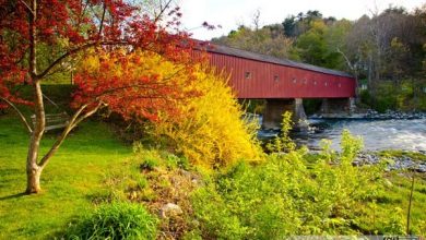 پل های سرپوشیده و زیبا