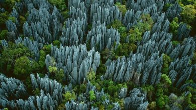 ناشناخته های جهان