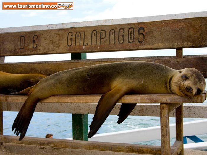 جزایر گالاپاگوس