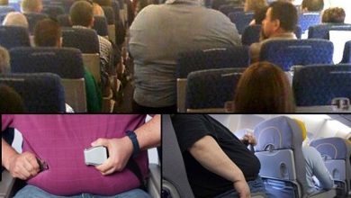 خدمات ویژه یک آژانس مسافرتی به افراد چاق