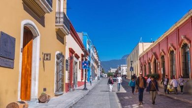 تورهای پیاده روی