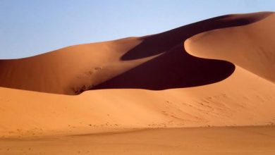 شگفتی های صوتی دنیـــا