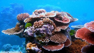 مکانهایی که قبل از ناپدید شدن باید دید