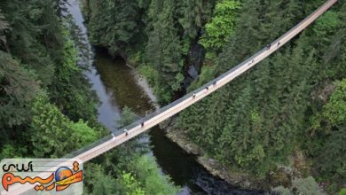 پل های پیاده