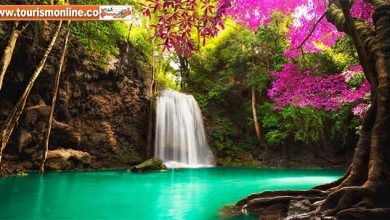 آبشارهای جنگلی