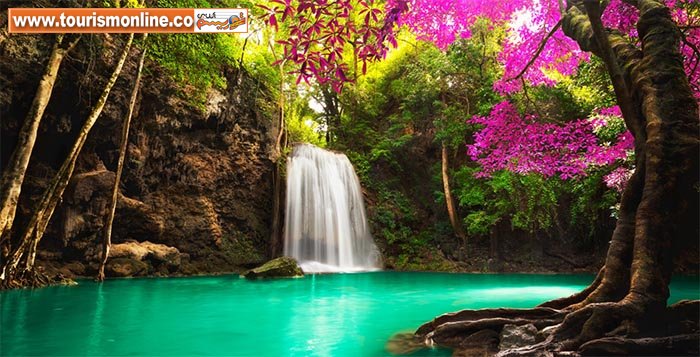 آبشارهای جنگلی