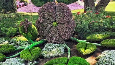 نمایشگاه باغبانی