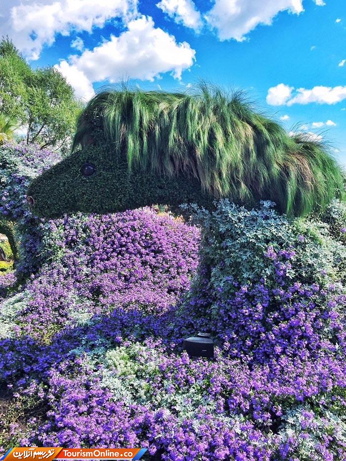 نمایشگاه باغبانی