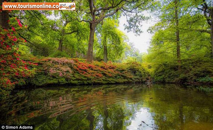 عشق به عکاسی