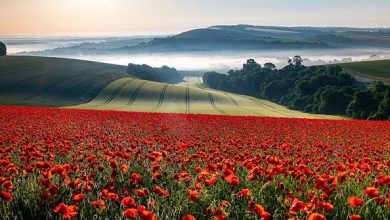 عکاسی منظره