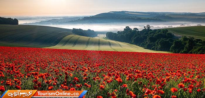 عکاسی منظره