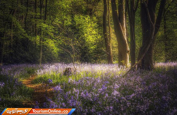 عکاسی منظره