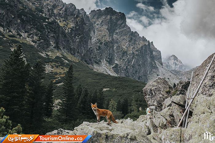 کوههای تاترا