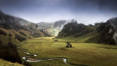 ترانسیلوانیا