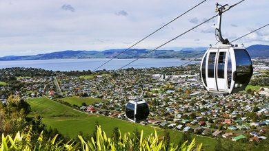 تریپ ادوایزر