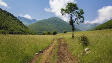 بافت های فرهنگی