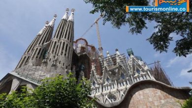 کلیسای جامع