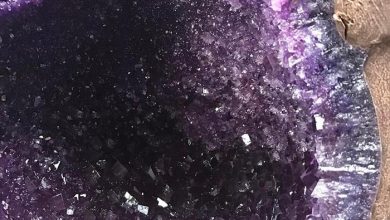 دنیای شکلات