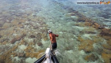 آب های شفاف