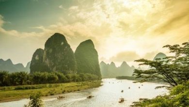 سازمان جهانی گردشگری