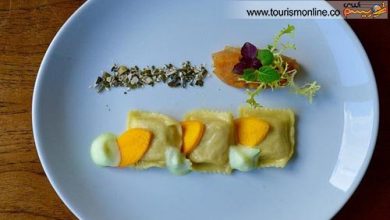 گیاه خوارها