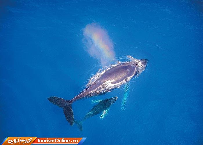 عکاسی هوایی