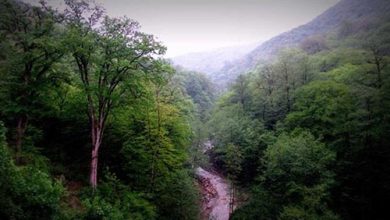 کمیسیون ملی یونسکو