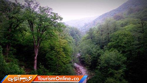 کمیسیون ملی یونسکو