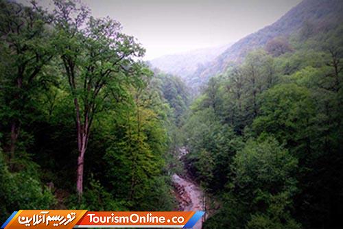 جنگل های هیرکانی