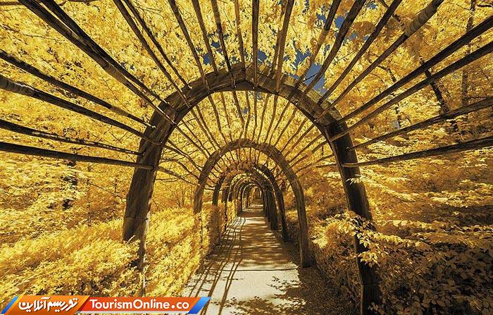 عکاسی مادون قرمز