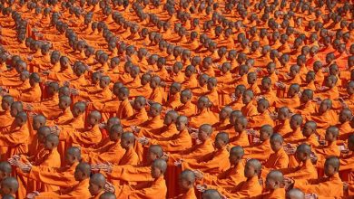 جشنواره بین المللی ووشو