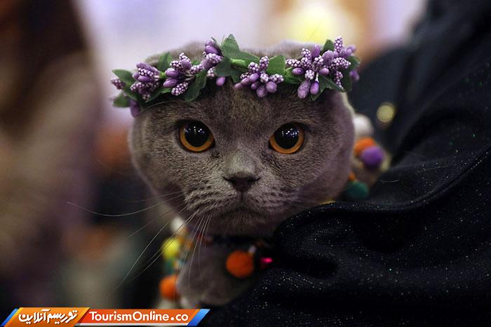 عکسهای خبری