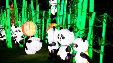 فستیوال فانوس