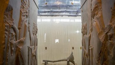 موزه تخت جمشید