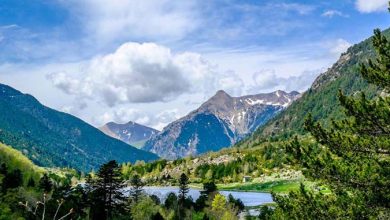 نرخ تورهای سفر