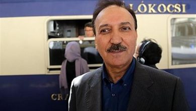 گردشگران ورودی