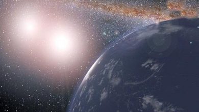 نوزاد انسان در فضا