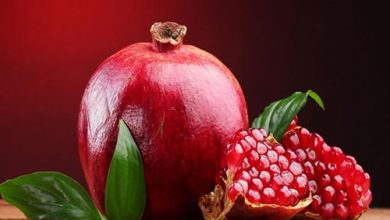 جشنواره انار