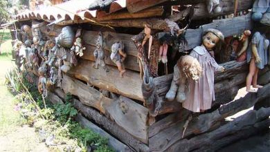 جزیره عکسهای شکسته