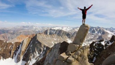 همت و اراده