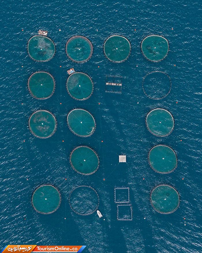 مزرعه ماهی